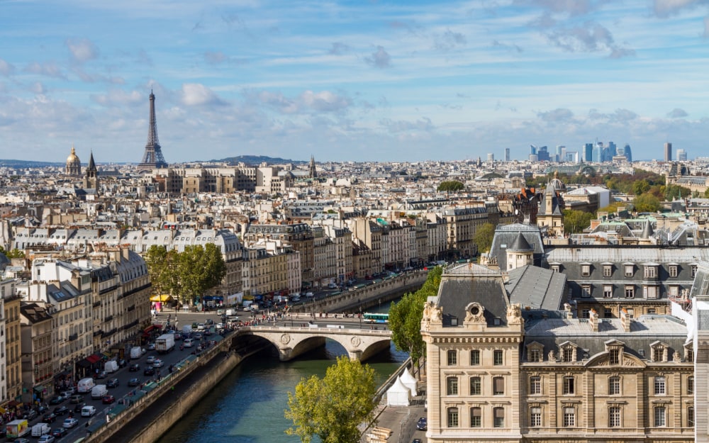 Paris seen from the top of Notre Dame